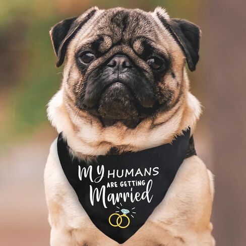 MiCa Direct My Humans are Getting Married She Said Yes Dog Bandana - Wedding Engagement Photos - Pet Scarf Accessories - Pet Accessories for Dog Lovers - 2 PCS in Kuwait