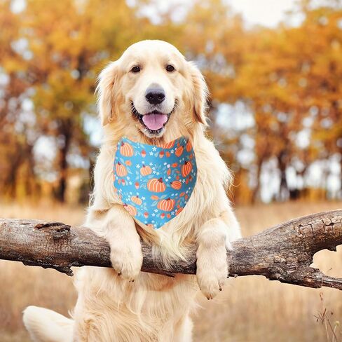 Fall Dog Cat Bandana,Thanksgiving Turkey Spice Pumpkin Bandana for Small Medium Large Dogs Pets Puppies (Small) in Saudi Arabia