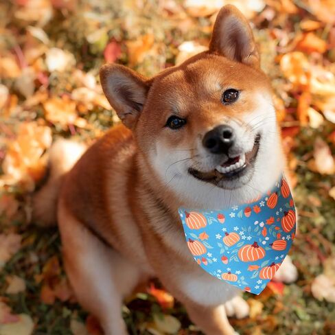 Fall Dog Cat Bandana,Thanksgiving Turkey Spice Pumpkin Bandana for Small Medium Large Dogs Pets Puppies (Small) in Saudi Arabia
