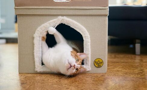 سرير قطط متين من Ozy Pets للقطط الداخلية – بيت حيوانات أليفة قابل للطي – تصميم قلعة – كهف قطط بغطاء قابل للإزالة، مخبأ، وسادة خدش وكرة معلقة – سهل التجميع – أثاث جمالي in Kuwait