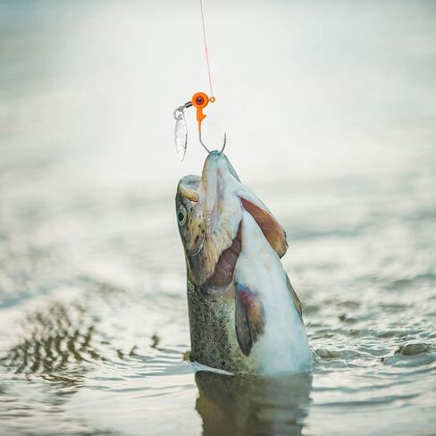 15 Pieces Fishing Jig Heads Kit Fishing Jig Head Hooks Jig Hook Lure Fishing Jigs with Plastic Box for Bass and Crappie in Saudi Arabia