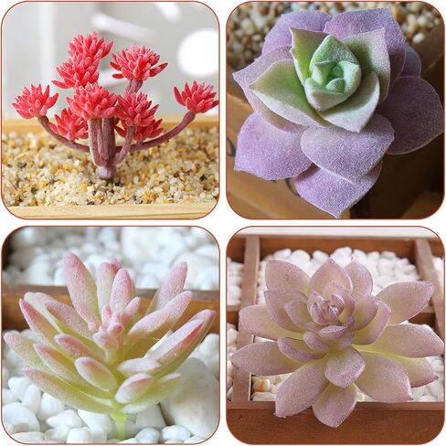 نباتات عصارية اصطناعية من Augshy، 16 حزمة من النباتات المزيفة نباتات عصارية صناعية صغيرة للحرف اليدوية، تشكيلة في أرفف غرفة المعيشة ذات الأزهار الوردية المتجمعة لتزيين غرفة النوم والحديقة والخارجية in Kuwait