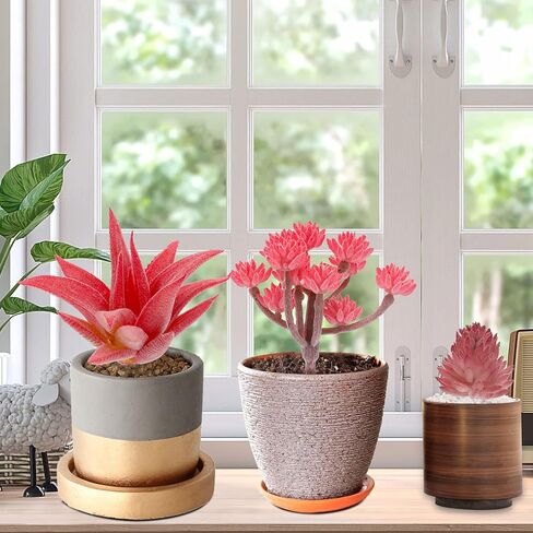 نباتات عصارية اصطناعية من Augshy، 16 حزمة من النباتات المزيفة نباتات عصارية صناعية صغيرة للحرف اليدوية، تشكيلة في أرفف غرفة المعيشة ذات الأزهار الوردية المتجمعة لتزيين غرفة النوم والحديقة والخارجية in Kuwait