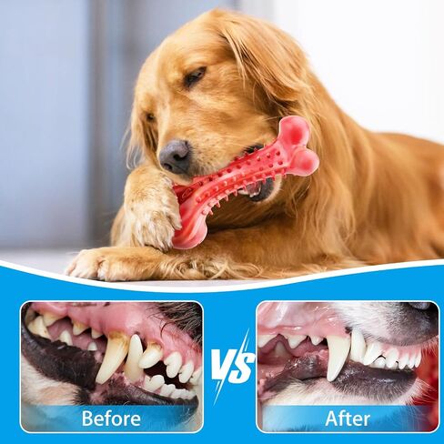 HHAINOVI Dog Chew Toys for Aggressive Chewers,Super Chewer Dog Toys for Medium Small Dogs,3 Pack Super Chewer Dog Toys with Tough, Heavy Duty Dog Teething Toys with Tough Nylon in Saudi Arabia