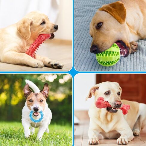 HHAINOVI Dog Chew Toys for Aggressive Chewers,Super Chewer Dog Toys for Medium Small Dogs,3 Pack Super Chewer Dog Toys with Tough, Heavy Duty Dog Teething Toys with Tough Nylon in Saudi Arabia