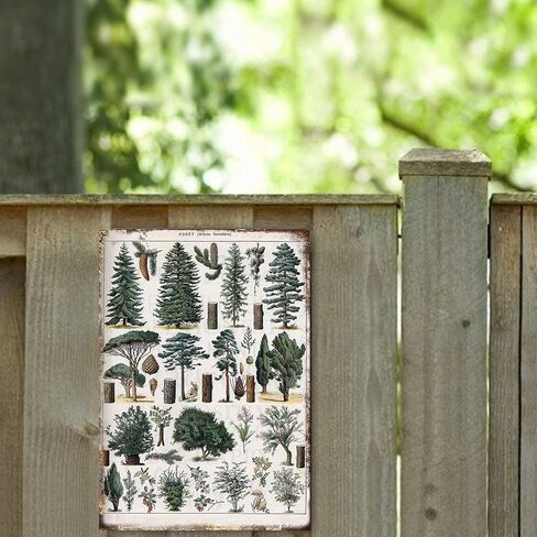 Forest Metal Tin Sign Forest Wall Art Pine Tree Nature Forest Decor Outdoor Indoor Wall Panel Retro Vintage Home Decoration 8x12 Inch in Kuwait