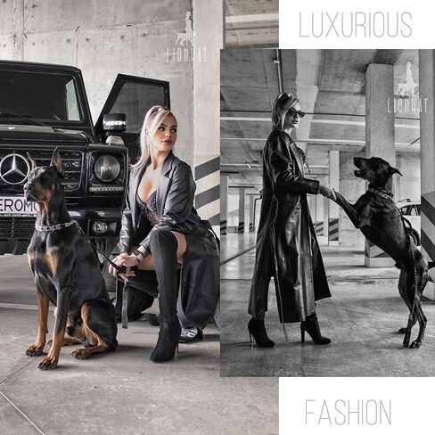 LionWay Dog Chain Collar with Quick Pelease Buckle Silver Dog Training Collars No Pull Martingale Collar Stainless Steel Metal Chain Collar for Large Medium Small Breeds Dogs in Kuwait