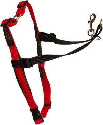 HALTI Front Control Harness, Size Medium, Bestselling Professional Dog Harness to Stop Pulling on the Lead, Easy to Use, Anti-Pull Training Aid, Front Leading No Pull Harness for Medium Dogs in Kuwait