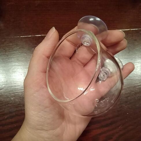 ايليندا كوب زجاجي كريستالي للنباتات المائية مع اكواب شفط لتزيين حوض السمك من ان واي in Kuwait