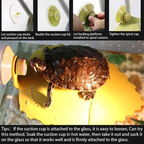 Hamiledyi 2Pcs Turtles Basking Platform,Reptile Ramp,Turtle Dock,Brazilian Tortoise Accessories,Aquarium Float Decoration,Leaf Shape for Aquatic Turtles Large in Saudi Arabia