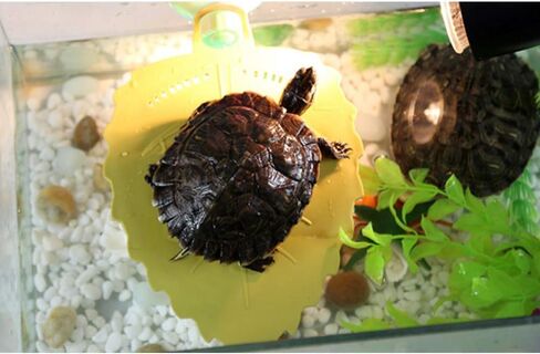 Hamiledyi 2Pcs Turtles Basking Platform,Reptile Ramp,Turtle Dock,Brazilian Tortoise Accessories,Aquarium Float Decoration,Leaf Shape for Aquatic Turtles Large in Saudi Arabia