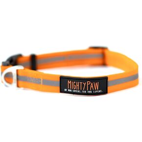 طوق كلب مايتي باو مقاوم للماء - معدات نشطة مقاومة للرائحة - حزام من النايلون المطلي بشريط عاكس - طوق سباحة للكلاب - طوق كلب مقاوم للرائحة - طوق كلب لجميع سلالات الكلاب - (برتقالي، متوسط) in Kuwait