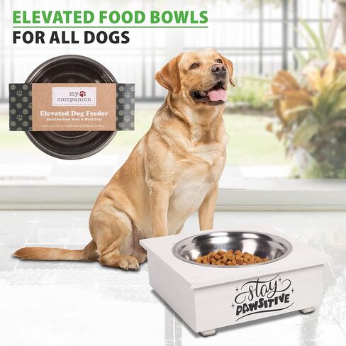 Pet Bowl with Stand Single - Food Bowls for All Dogs with Wooden Stand | Water Feeder with Stainless Steel Feet Tray in Saudi Arabia