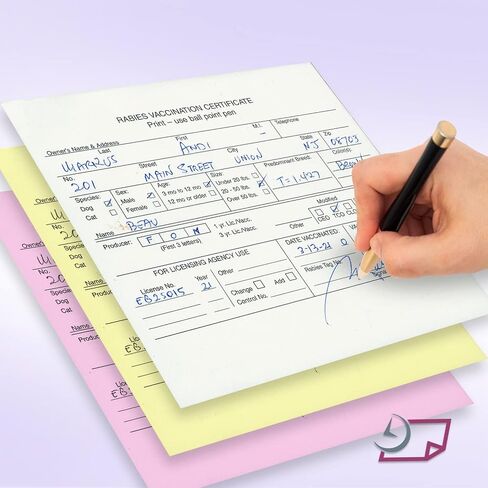 Veterinarian, 3-Part Rabies Vaccination Certificates for Cats & Dogs (100 Sets per Package) in Saudi Arabia