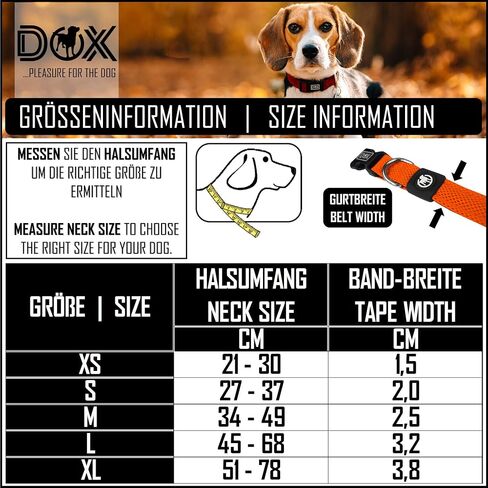 DDOXX Airmesh Dog Collar - Strong and Adjustable Collars Dogs - XS (Orange) in Kuwait