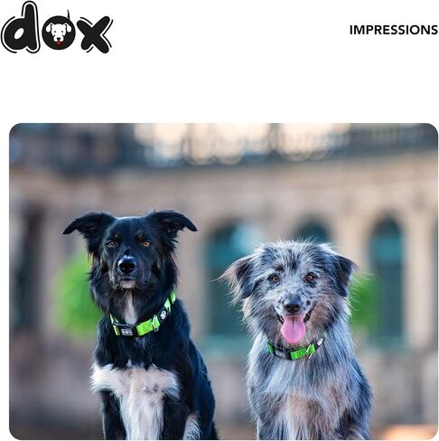 طوق DDOXX Airmesh للكلاب - أطواق قوية وقابلة للتعديل للكلاب - مقاس L (أحمر) in Kuwait