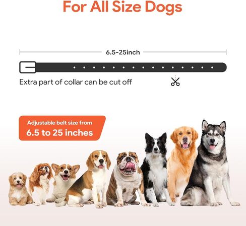 حزام أطواق الكلاب، حزام طوق بديل عاكس لمعظم أجهزة استقبال أطواق التدريب الإلكترونية، استبدال طوق لسياج النباح لجميع الأصناف الكلاب الصغيرة والمتوسطة والكبيرة - 3 قطع in Kuwait