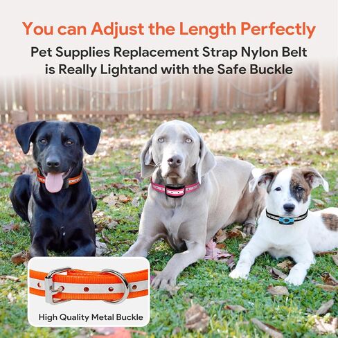 حزام أطواق الكلاب، حزام طوق بديل عاكس لمعظم أجهزة استقبال أطواق التدريب الإلكترونية، استبدال طوق لسياج النباح لجميع الأصناف الكلاب الصغيرة والمتوسطة والكبيرة - 3 قطع in Kuwait