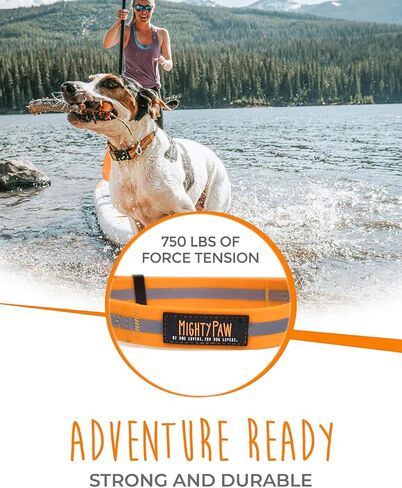 طوق كلب مايتي باو مقاوم للماء - معدات نشطة مقاومة للرائحة - حزام من النايلون المطلي بشريط عاكس - طوق سباحة للكلاب - طوق كلب مقاوم للرائحة - طوق كلب لجميع سلالات الكلاب - (برتقالي، متوسط) in Kuwait