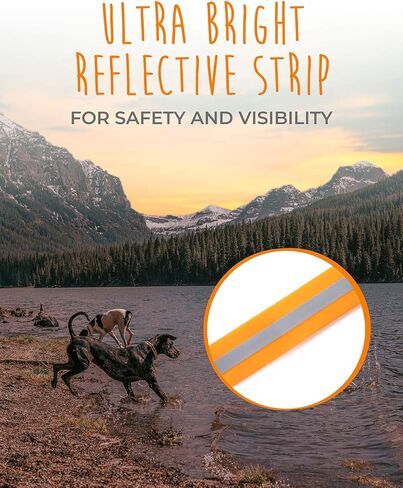 طوق كلب مايتي باو مقاوم للماء - معدات نشطة مقاومة للرائحة - حزام من النايلون المطلي بشريط عاكس - طوق سباحة للكلاب - طوق كلب مقاوم للرائحة - طوق كلب لجميع سلالات الكلاب - (برتقالي، متوسط) in Kuwait