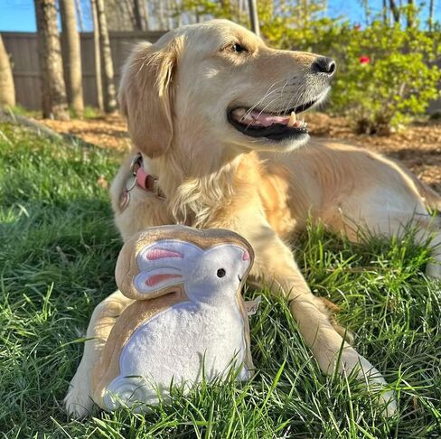Midlee Sugar Cookie Easter Bunny Dog Toy (Large) in Saudi Arabia