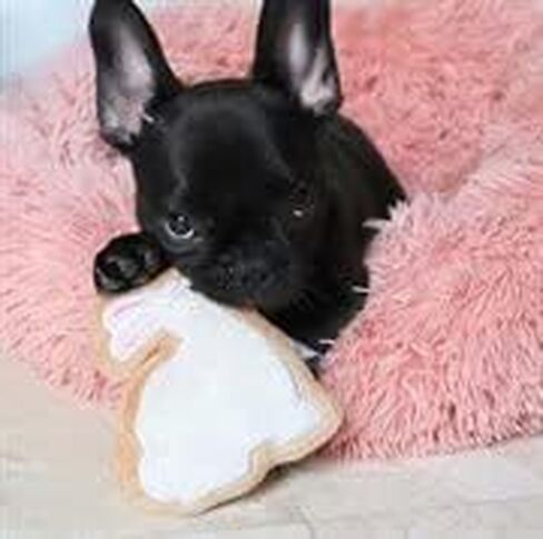 Midlee Sugar Cookie Easter Bunny Dog Toy (Large) in Saudi Arabia