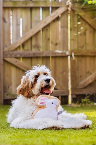 Midlee Sugar Cookie Easter Bunny Dog Toy (Large) in Saudi Arabia