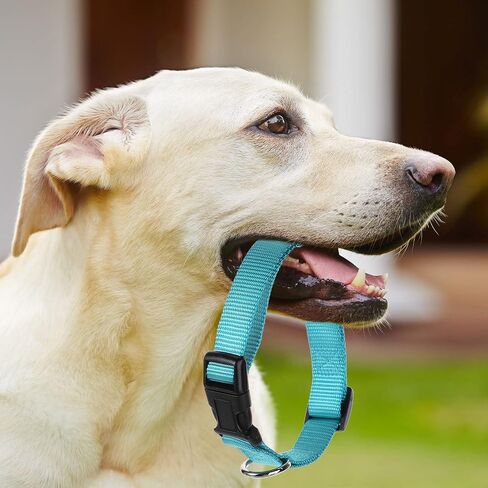 12 Pieces Nylon Dog Collar Bulk, Adjustable Dog Collars with Quick Release Buckle Dogs Collar Bulk for Dogs Walking Running Training, Medium (Blue, Black, Red, Green, Pink, Brown) in Saudi Arabia