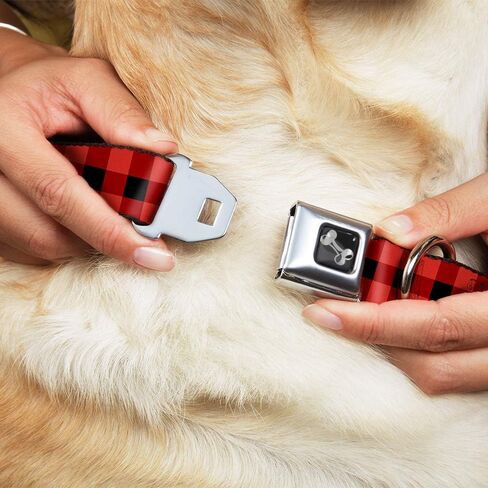 Buckle-Down Seatbelt Buckle Dog Collar - Buffalo Plaid Black/Red - 1" Wide - Fits 11-17" Neck - Medium in Saudi Arabia