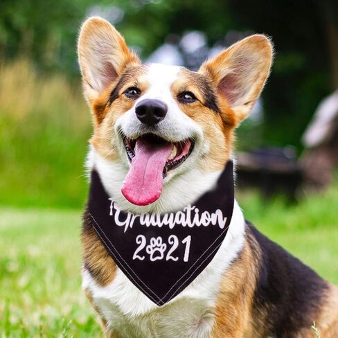PRETYZOOM قطعتان من قبعات التخرج للحيوانات الأليفة مع وشاح باندانا وقبعات تخرج للكلاب الصغيرة مع شرابة صفراء للحيوانات الأليفة للكلاب والقطط وحفلات العطلات in Kuwait
