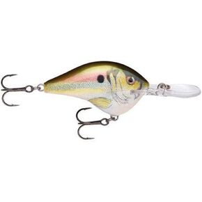 Rapala Dives-to 10 Live River Shad Lure, Multi, One Size (DT10RSL) in Saudi Arabia