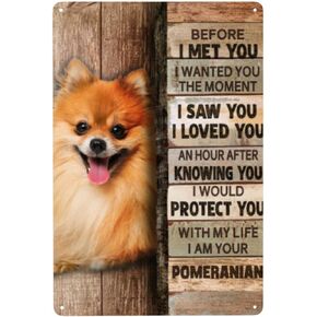 علامة معدنية من القصدير كلب صغير طويل الشعر ديكور جدار ديكور فني جداري علامة معدنية لمقهى بار مطعم سوبر ماركت متجر أفضل فكرة الهدايا 8 × 12 بوصة in Kuwait