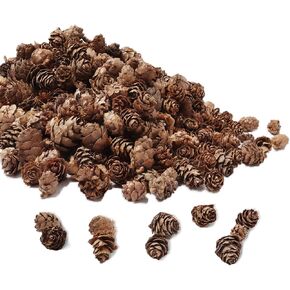 Ira Pollitt 300 قطعة من مخاريط الصنوبر الطبيعي عيد الميلاد مخاريط الصنوبر الطبيعي الحلي عيد الشكر Pinecones الحلي للحرف اليدوية، ديكور المنزل، الخريف وعيد الميلاد in Kuwait