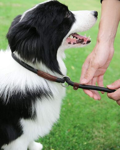 BTINESFUL 5FT Durable Slip Lead Rope Dog Leash, No Pull Nylon Training Leash for Medium Large Dogs, 1/2" X 5', Black in Kuwait