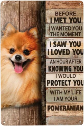 علامة معدنية من القصدير كلب صغير طويل الشعر ديكور جدار ديكور فني جداري علامة معدنية لمقهى بار مطعم سوبر ماركت متجر أفضل فكرة الهدايا 8 × 12 بوصة in Kuwait