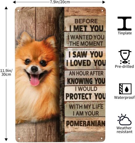 علامة معدنية من القصدير كلب صغير طويل الشعر ديكور جدار ديكور فني جداري علامة معدنية لمقهى بار مطعم سوبر ماركت متجر أفضل فكرة الهدايا 8 × 12 بوصة in Kuwait