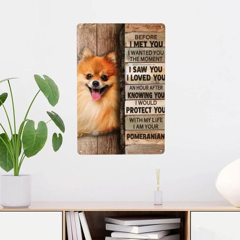 علامة معدنية من القصدير كلب صغير طويل الشعر ديكور جدار ديكور فني جداري علامة معدنية لمقهى بار مطعم سوبر ماركت متجر أفضل فكرة الهدايا 8 × 12 بوصة in Kuwait