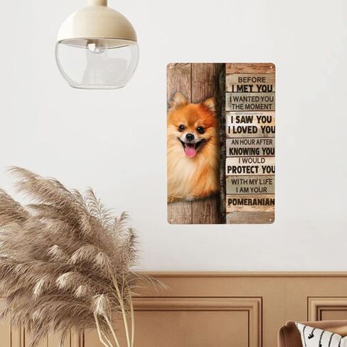 علامة معدنية من القصدير كلب صغير طويل الشعر ديكور جدار ديكور فني جداري علامة معدنية لمقهى بار مطعم سوبر ماركت متجر أفضل فكرة الهدايا 8 × 12 بوصة in Kuwait