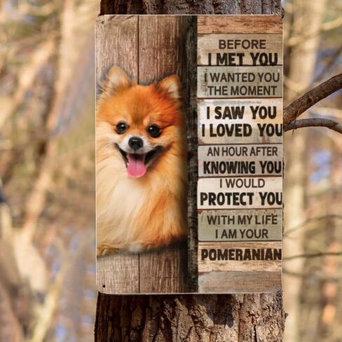 علامة معدنية من القصدير كلب صغير طويل الشعر ديكور جدار ديكور فني جداري علامة معدنية لمقهى بار مطعم سوبر ماركت متجر أفضل فكرة الهدايا 8 × 12 بوصة in Kuwait