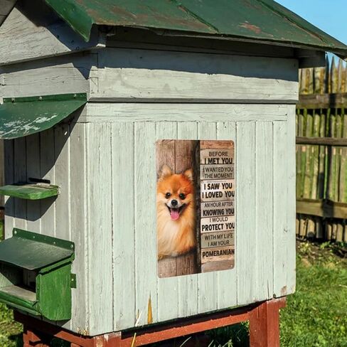 علامة معدنية من القصدير كلب صغير طويل الشعر ديكور جدار ديكور فني جداري علامة معدنية لمقهى بار مطعم سوبر ماركت متجر أفضل فكرة الهدايا 8 × 12 بوصة in Kuwait