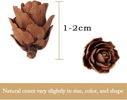Ira Pollitt 300 قطعة من مخاريط الصنوبر الطبيعي عيد الميلاد مخاريط الصنوبر الطبيعي الحلي عيد الشكر Pinecones الحلي للحرف اليدوية، ديكور المنزل، الخريف وعيد الميلاد in Kuwait