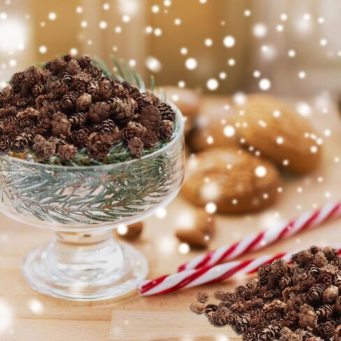 Ira Pollitt 300 قطعة من مخاريط الصنوبر الطبيعي عيد الميلاد مخاريط الصنوبر الطبيعي الحلي عيد الشكر Pinecones الحلي للحرف اليدوية، ديكور المنزل، الخريف وعيد الميلاد in Kuwait