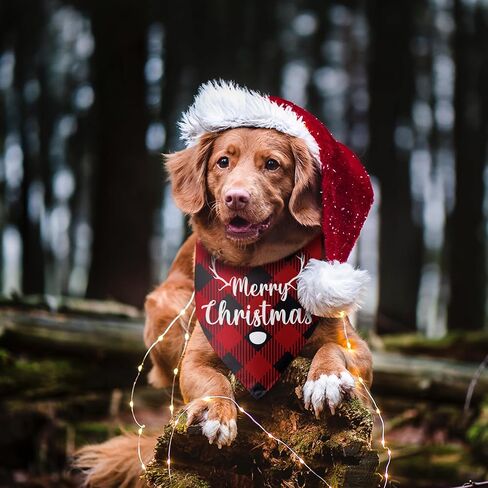 Christmas Dog Bandanas Christmas Tree Green Dog Scarf for Boy and Girl Holiday Dog Bandana Puppy Bandana Triangle Bibs Scarf Accessories for Small Medium Dogs Pets in Saudi Arabia