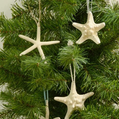 16pcs Starfish and Scallop Shells Coastal Wedding and Hanging Starfish Christmas Tree Ornaments with Hemp Rope in Kuwait
