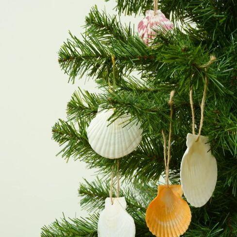 16pcs Starfish and Scallop Shells Coastal Wedding and Hanging Starfish Christmas Tree Ornaments with Hemp Rope in Kuwait