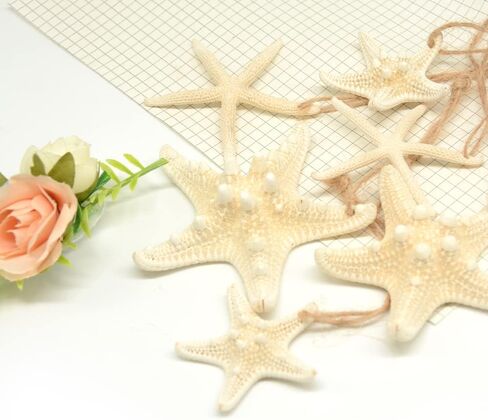 16pcs Starfish and Scallop Shells Coastal Wedding and Hanging Starfish Christmas Tree Ornaments with Hemp Rope in Kuwait