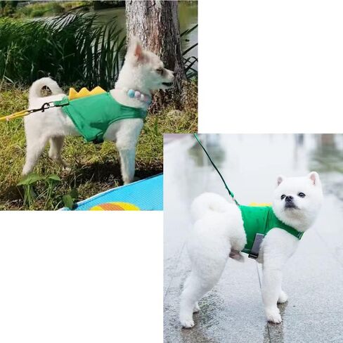 Dinosaur Shaped Puppy Dog Harness and Leash Set Green Cat Vest Harness with Walking Rope No Pull Comfort Pet Vest (Dinosaur, Small) in Saudi Arabia