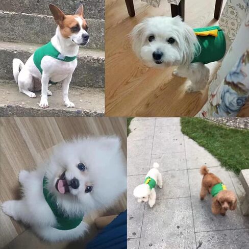 Dinosaur Shaped Puppy Dog Harness and Leash Set Green Cat Vest Harness with Walking Rope No Pull Comfort Pet Vest (Dinosaur, Small) in Saudi Arabia