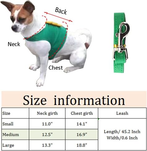Dinosaur Shaped Puppy Dog Harness and Leash Set Green Cat Vest Harness with Walking Rope No Pull Comfort Pet Vest (Dinosaur, Small) in Saudi Arabia