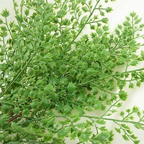 18" Artificial Soft Plastic Fern - Package of 3 (Boston) in Saudi Arabia